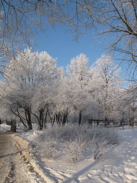 Kliknij na zdjęcie, żeby zobaczyć w pełnych wymiarach