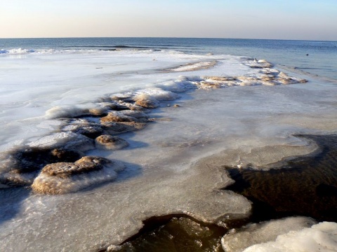 Kliknij na zdjęcie, żeby zobaczyć w pełnych wymiarach