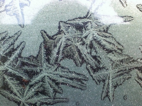 Kliknij na zdjęcie, żeby zobaczyć w pełnych wymiarach