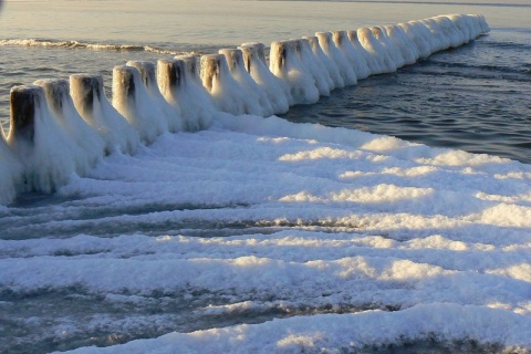 Kliknij na zdjęcie, żeby zobaczyć w pełnych wymiarach