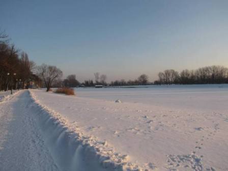 Kliknij na zdjęcie, żeby zobaczyć w pełnych wymiarach