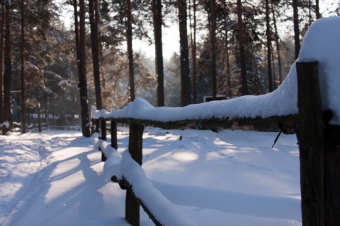 Kliknij na zdjęcie, żeby zobaczyć w pełnych wymiarach