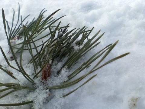 Kliknij na zdjęcie, żeby zobaczyć w pełnych wymiarach