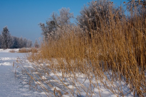 Kliknij na zdjęcie, żeby zobaczyć w pełnych wymiarach