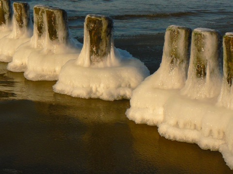 Kliknij na zdjęcie, żeby zobaczyć w pełnych wymiarach