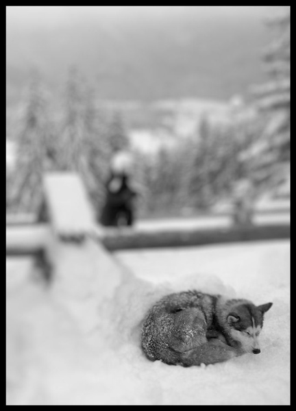 Kliknij na zdjęcie, żeby zobaczyć w pełnych wymiarach
