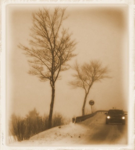 Kliknij na zdjęcie, żeby zobaczyć w pełnych wymiarach