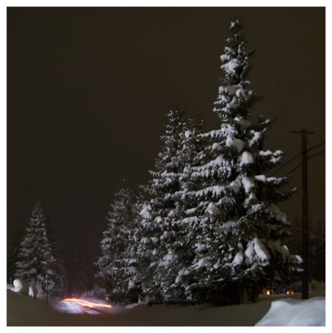 Kliknij na zdjęcie, żeby zobaczyć w pełnych wymiarach