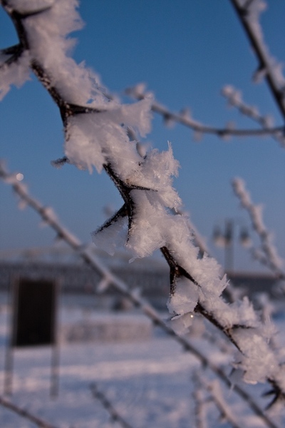 Kliknij na zdjęcie, żeby zobaczyć w pełnych wymiarach