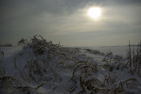 Kliknij na zdjęcie, żeby zobaczyć w pełnych wymiarach