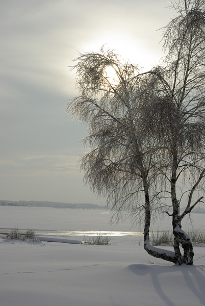Kliknij na zdjęcie, żeby zobaczyć w pełnych wymiarach