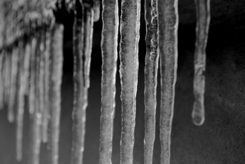 Kliknij na zdjęcie, żeby zobaczyć w pełnych wymiarach