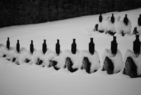 Kliknij na zdjęcie, żeby zobaczyć w pełnych wymiarach