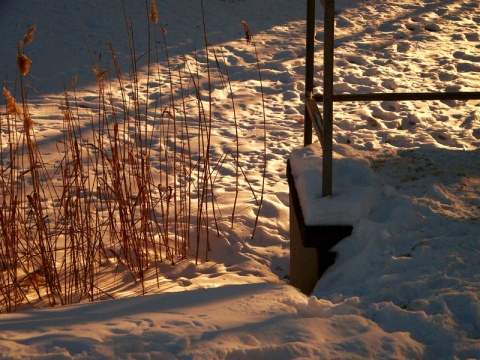 Kliknij na zdjęcie, żeby zobaczyć w pełnych wymiarach