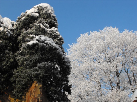 Kliknij na zdjęcie, żeby zobaczyć w pełnych wymiarach