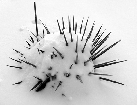 Kliknij na zdjęcie, żeby zobaczyć w pełnych wymiarach