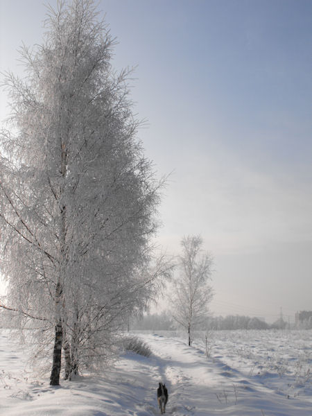 Kliknij na zdjęcie, żeby zobaczyć w pełnych wymiarach