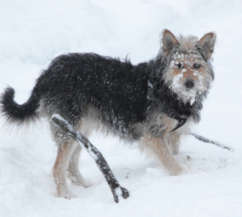 Kliknij na zdjęcie, żeby zobaczyć w pełnych wymiarach