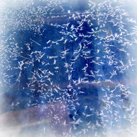 Kliknij na zdjęcie, żeby zobaczyć w pełnych wymiarach