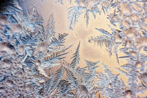 Kliknij na zdjęcie, żeby zobaczyć w pełnych wymiarach