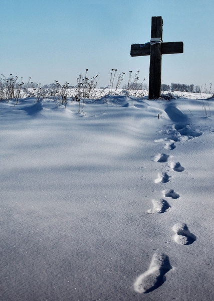 Kliknij na zdjęcie, żeby zobaczyć w pełnych wymiarach