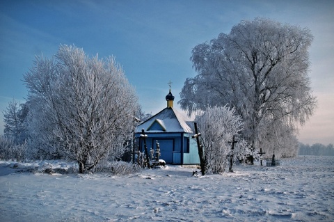 Kliknij na zdjęcie, żeby zobaczyć w pełnych wymiarach