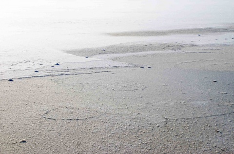 Kliknij na zdjęcie, żeby zobaczyć w pełnych wymiarach