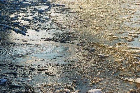 Kliknij na zdjęcie, żeby zobaczyć w pełnych wymiarach