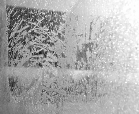 Kliknij na zdjęcie, żeby zobaczyć w pełnych wymiarach