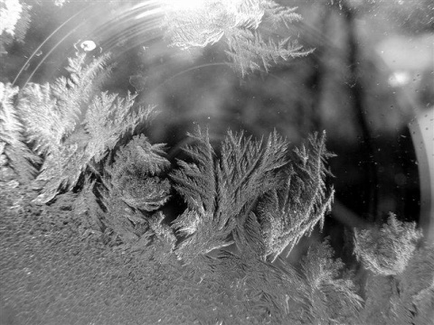 Kliknij na zdjęcie, żeby zobaczyć w pełnych wymiarach