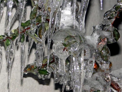 Kliknij na zdjęcie, żeby zobaczyć w pełnych wymiarach