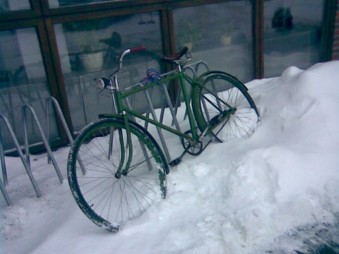 Kliknij na zdjęcie, żeby zobaczyć w pełnych wymiarach