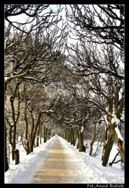 Kliknij na zdjęcie, żeby zobaczyć w pełnych wymiarach