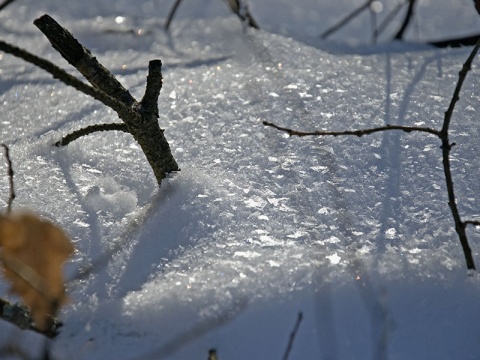 Kliknij na zdjęcie, żeby zobaczyć w pełnych wymiarach