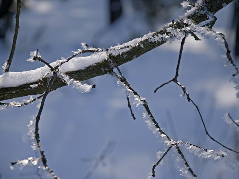 Kliknij na zdjęcie, żeby zobaczyć w pełnych wymiarach