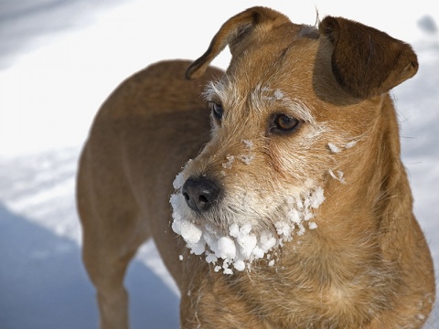 Kliknij na zdjęcie, żeby zobaczyć w pełnych wymiarach