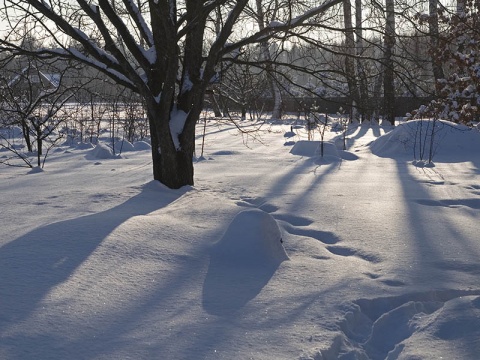 Kliknij na zdjęcie, żeby zobaczyć w pełnych wymiarach
