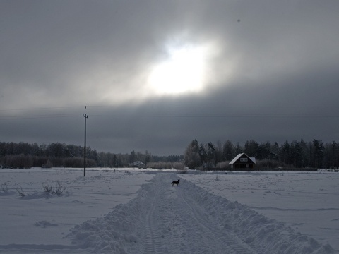 Kliknij na zdjęcie, żeby zobaczyć w pełnych wymiarach