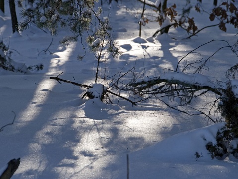 Kliknij na zdjęcie, żeby zobaczyć w pełnych wymiarach