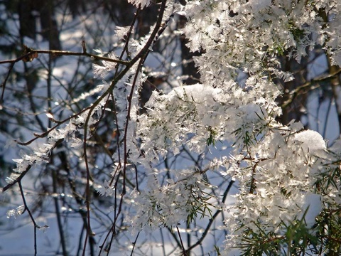 Kliknij na zdjęcie, żeby zobaczyć w pełnych wymiarach