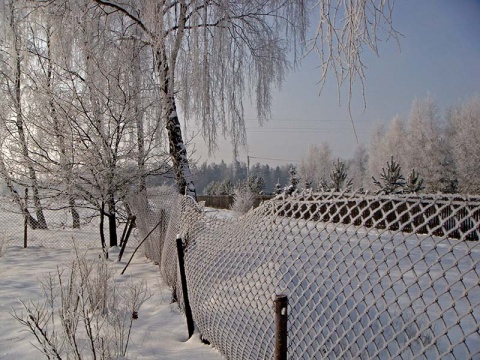 Kliknij na zdjęcie, żeby zobaczyć w pełnych wymiarach