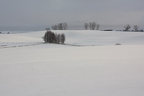 Kliknij na zdjęcie, żeby zobaczyć w pełnych wymiarach