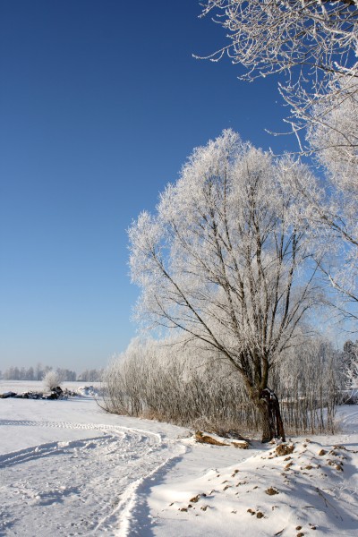 Kliknij na zdjęcie, żeby zobaczyć w pełnych wymiarach