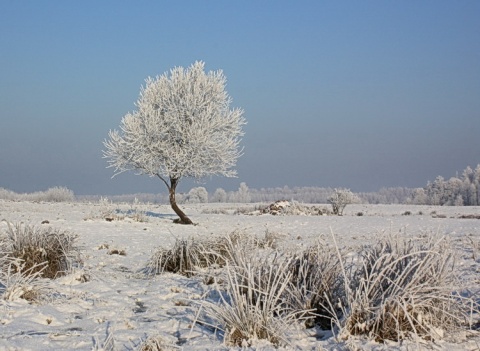 Kliknij na zdjęcie, żeby zobaczyć w pełnych wymiarach