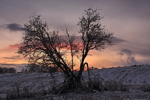 Kliknij na zdjęcie, żeby zobaczyć w pełnych wymiarach