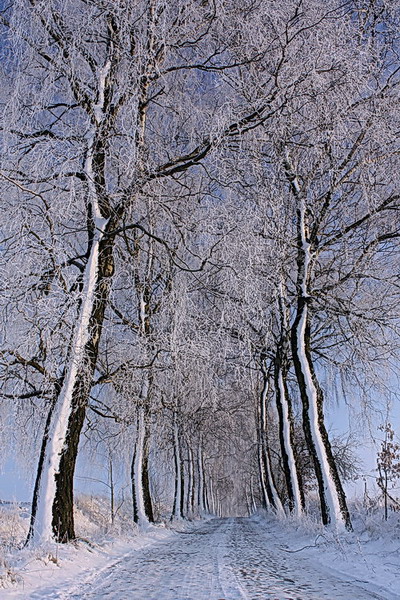 Kliknij na zdjęcie, żeby zobaczyć w pełnych wymiarach