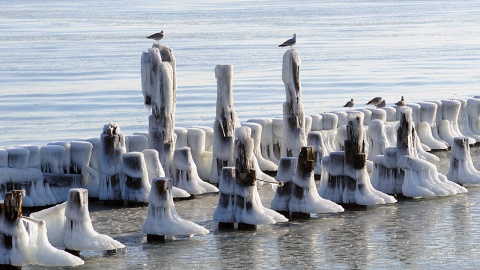 Kliknij na zdjęcie, żeby zobaczyć w pełnych wymiarach