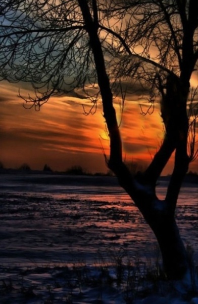 Kliknij na zdjęcie, żeby zobaczyć w pełnych wymiarach