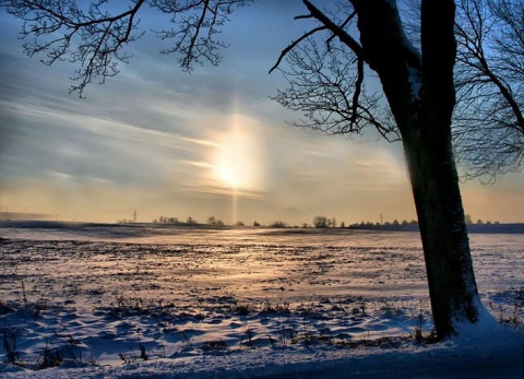Kliknij na zdjęcie, żeby zobaczyć w pełnych wymiarach