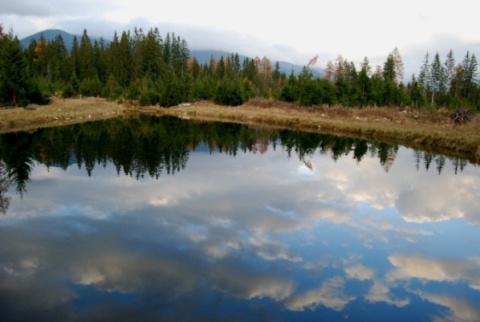 Kliknij na zdjęcie, żeby zobaczyć w pełnych wymiarach